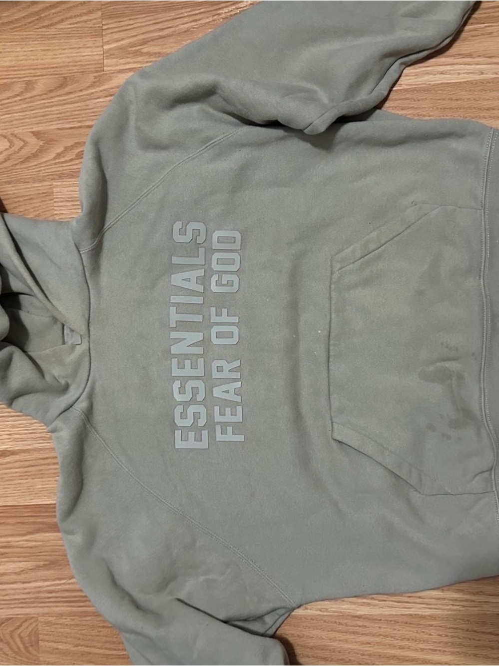 Men's Hoodie in Sage